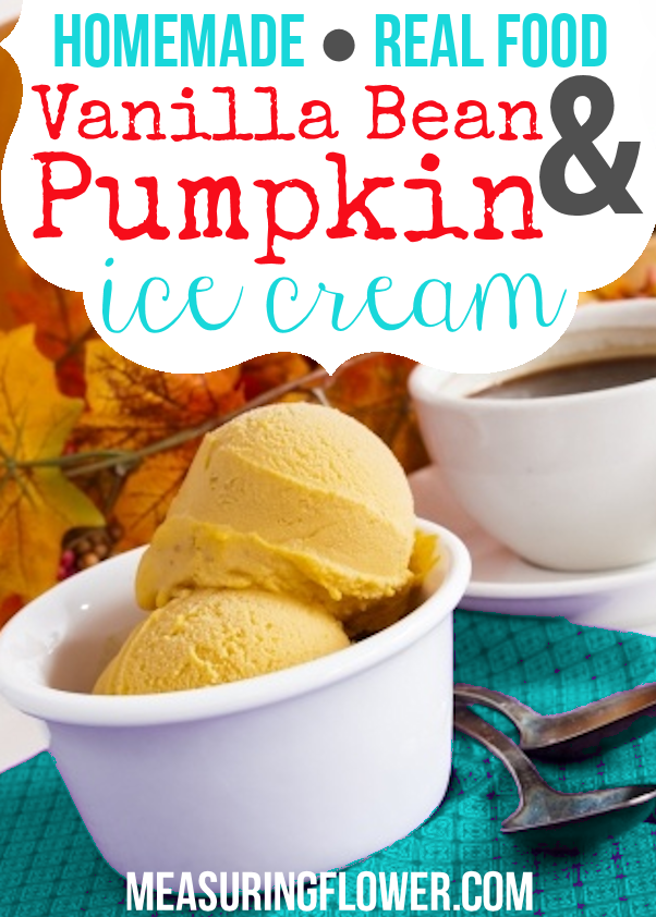 Homemade Vanilla Bean and Pumpkin Ice Cream