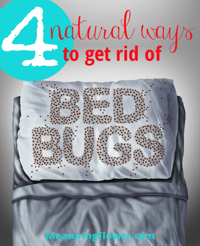 4-natural-ways-to-get-rid-of-bed-bugs