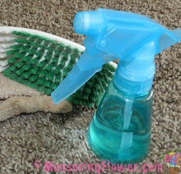How To Naturally Clean Vomit Off Carpet Or Furniture Plus A Post Cleaner Recipe